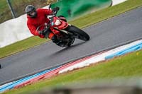 Lower Group Red Bikes